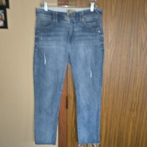 Democracy Blue Denim Jeans